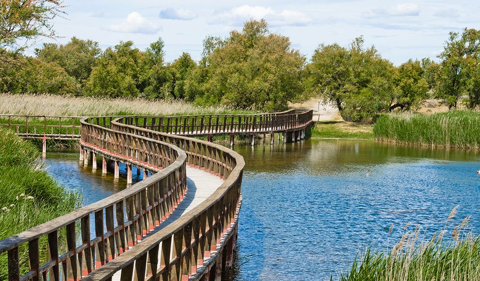 Las Tablas de Daimiel, uno de los lugares emblemáticos de los pueblos de Ciudad Real