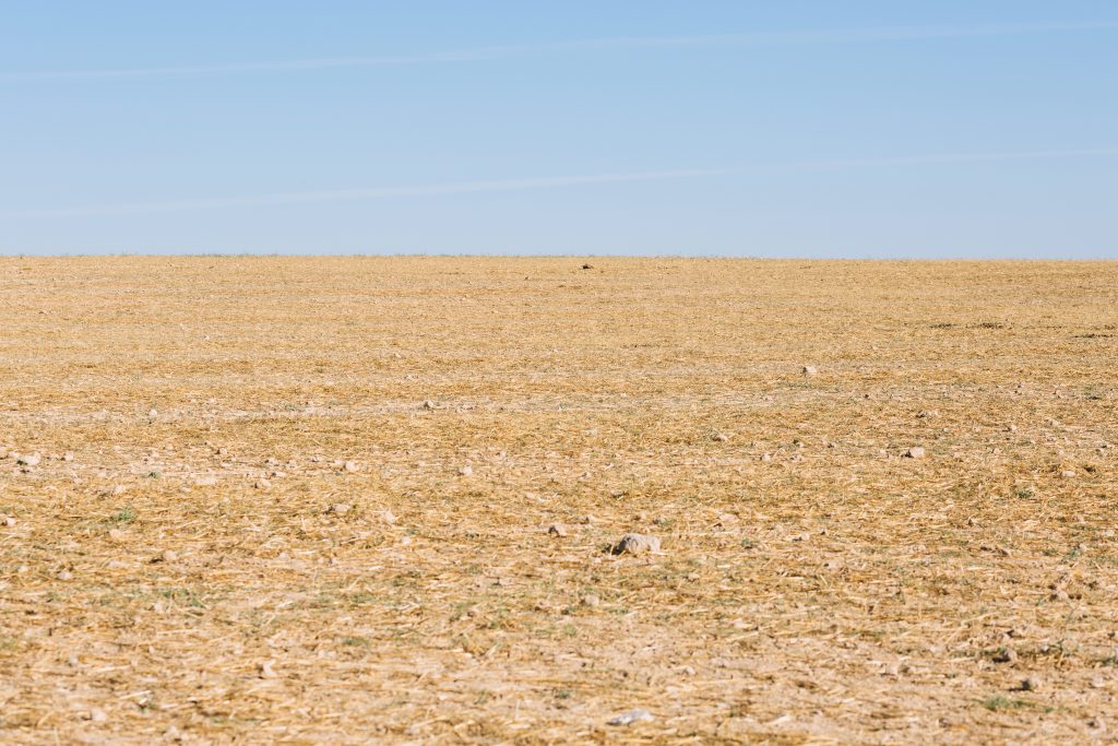 sequía en Castilla-La Mancha